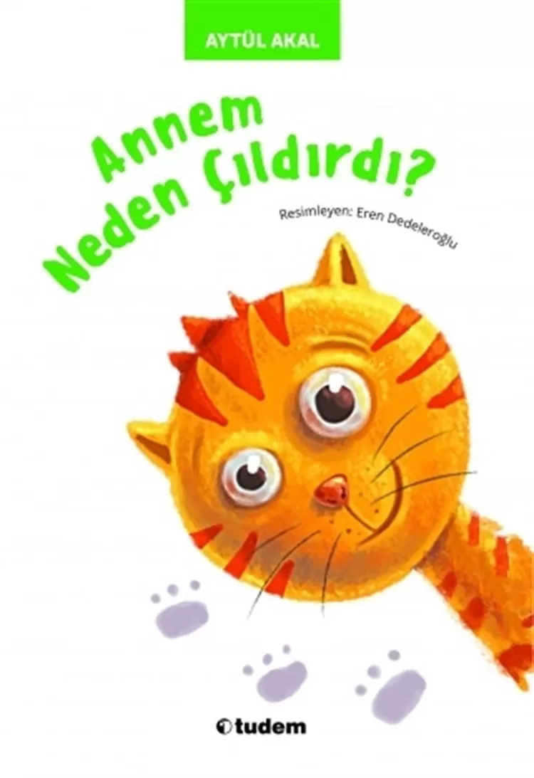 Annem Neden Çıldırdı?