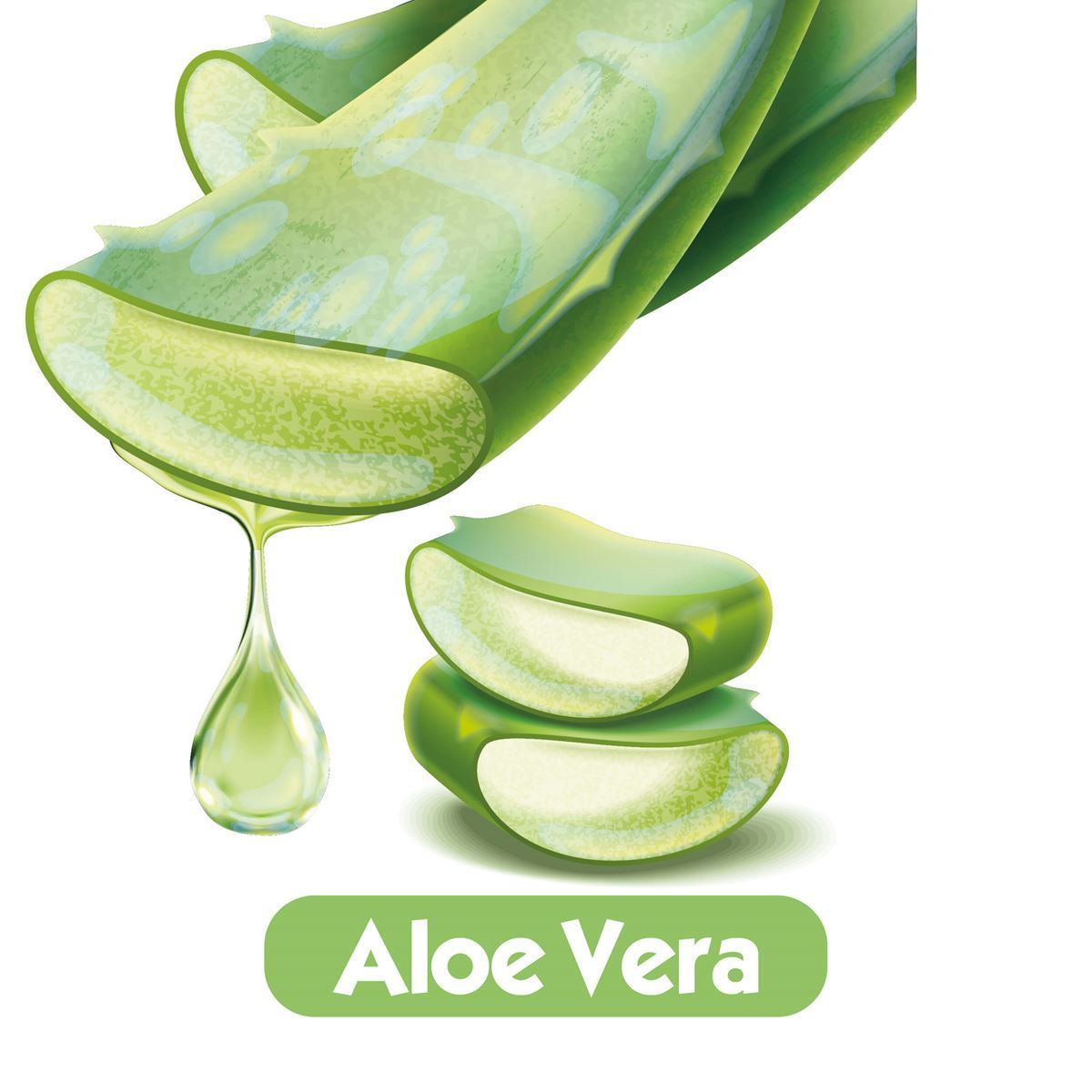 Baby Turco Softcare Aloea Vera Islak Havlu Mendil 90x36 3240 Yaprak