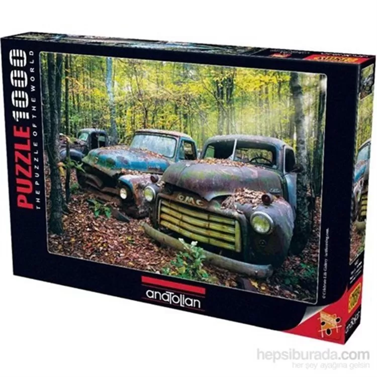 Geçmişin Kalıntıları 1000 parça puzzle - Anatolian