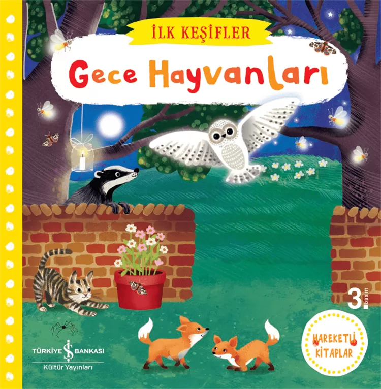 Hareketli Gece Hayvanları