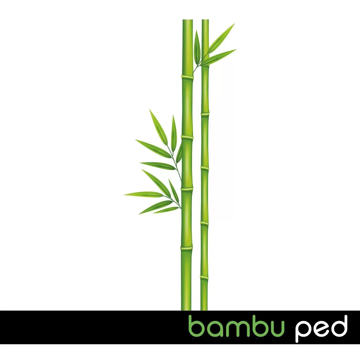 Ladyfit Bambu Süper Avantajlı Paket Normal+Uzun+Gece Ped 62 Adet