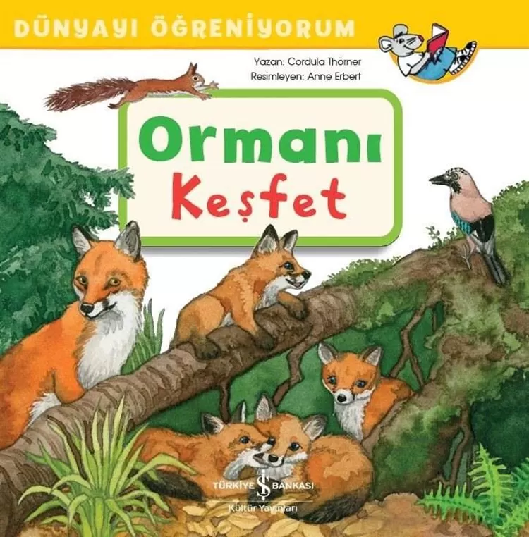 Ormanı Keşfet