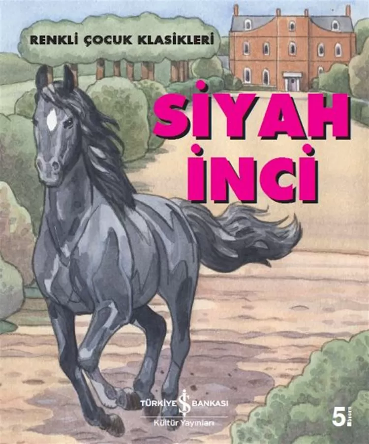 Siyah İnci – Renkli Çocuk Klasikleri
