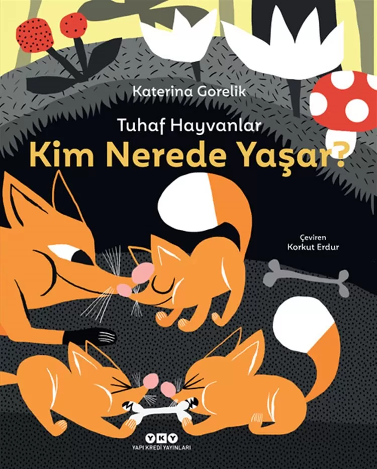 Tuhaf Hayvanlar-Kim Nerede Yaşar?