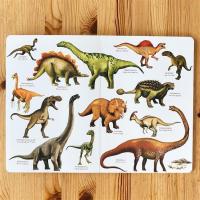 Benim İlk Dinozorlar Kitabım
