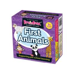 BrainBox İlk Hayvanlarım (First Animals)